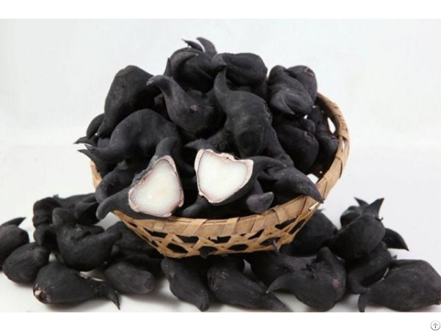 Best Price Frozen Iqf Water Caltrop With High Quality From Vietnam