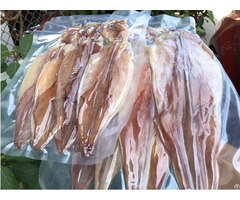 Dried Squid With High Quality From Vietnam Whatsapp 84975262928 Helen