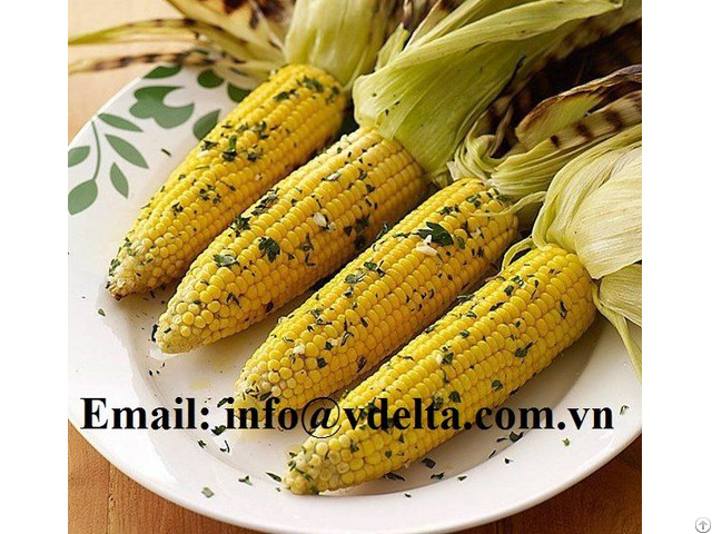 Iqf Frozen Sweet Corn From Vietnam With The Competitive Price High Quality