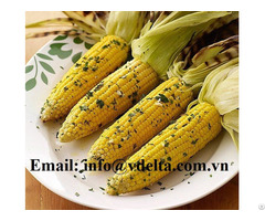 Iqf Frozen Sweet Corn From Vietnam With The Competitive Price High Quality