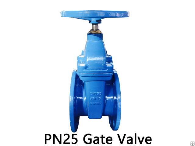 Pn25 Resilient Seated Gate Valve