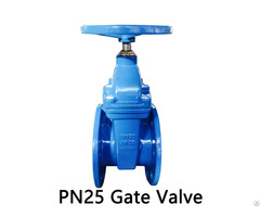 Pn25 Resilient Seated Gate Valve