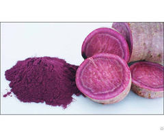 Atl Global Best Sell Purple Sweet Potato Yam Powder Whatsapp 84975262928 Helen