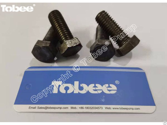 Tobee® Slurry Pump End Cover Set Screw M12h2 35v