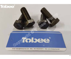 Tobee® Slurry Pump End Cover Set Screw M12h2 35v