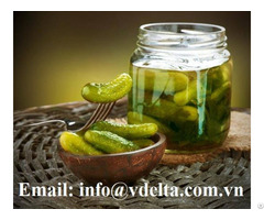 Canned Cucumber Pickled Gherkins From Vietnam