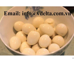 Canned Boiled Quail Eggs Without Shell