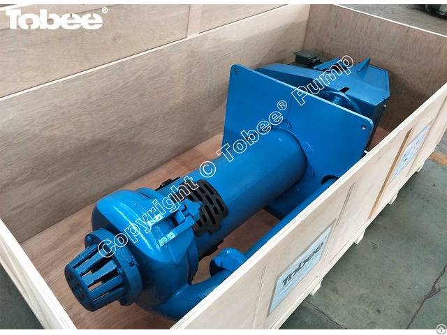 Tobee® 65qv Sp Vertical Cantilever Sump Slurry Pump