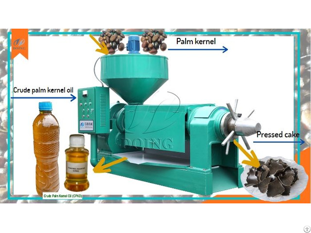 Palm Kernel Oil Machine To Produce Cpko