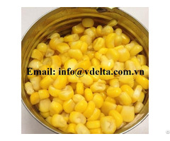 Corn In Canned