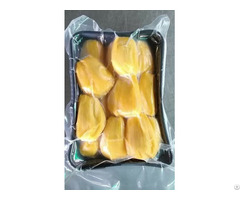 Atl Global Frozen Jackfruit With High Quality From Vietnam