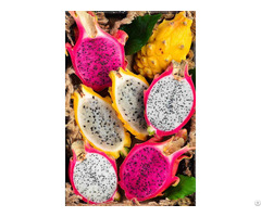 Hot Sale Frozen Dragon Fruit Red And White With High Quality From Vietnam