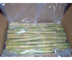 Atl Global Best Vietnam Frozen Sugarcane With High Quality