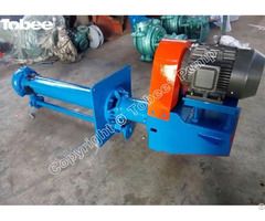 Tobee® 40pv Sp Vertical Slurry Pump