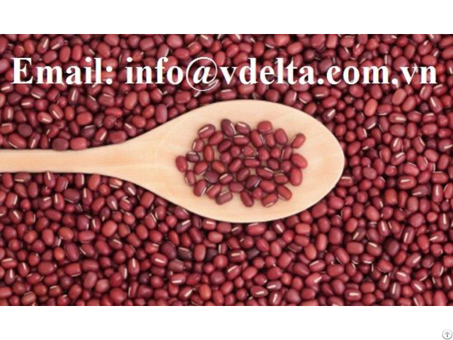 Red Beans High Quality From Vietnam 2021