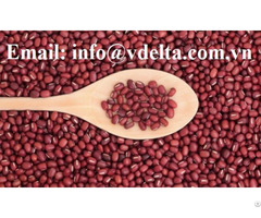 Red Beans High Quality From Vietnam 2021