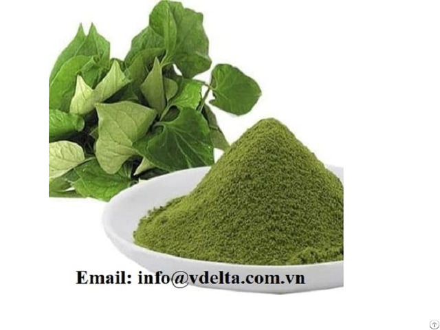 Raw Lettuce Powder Used In The Treatment Of Diseases