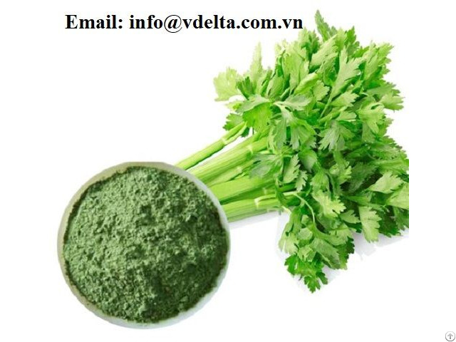 Good Quality And Best Price Dried Celery Powder