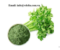 Good Quality And Best Price Dried Celery Powder