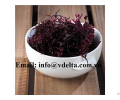 Purple Irish Seamoss Dried Euchema Cottonii Seaweed