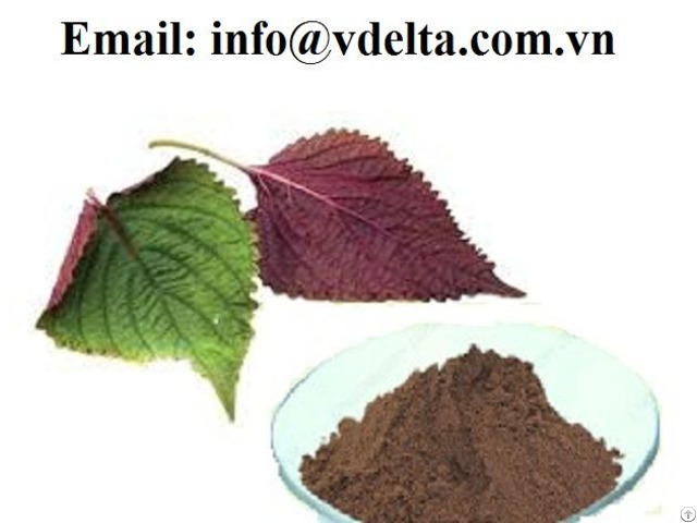 Natural Pure Fructus Perillae Plant Extract 10 1 Perilla Seed Powder