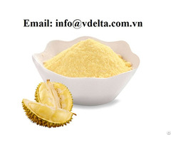 High Quality Durian Fruit With Lowest Price Durio Zibethinus