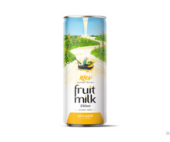 Pineapple Fruit Milk Healthy Drink From Rita Supplier