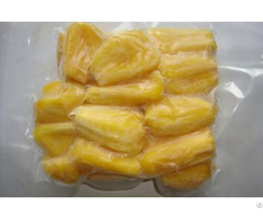 Fresh Frozen Jackfruit With High Quality From Vietnam