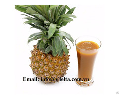 Organic Pineapple Juice Concentrate No Additives
