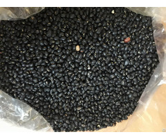 100% Organic Dried Black Kidney Bean Vietnam Top Quality