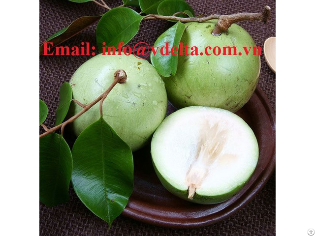 Fresh Star Apples Tropical Fruits