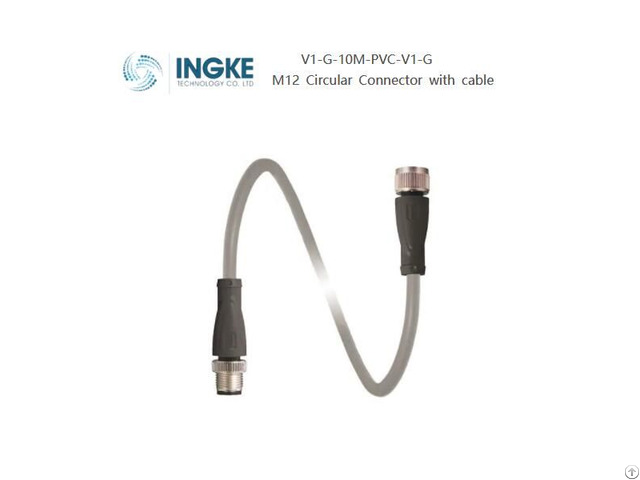 Ingke V1g10mpvcv1g Cordset M12 Socket Straight To Plug A Coded 4 Pin Pvc Cable