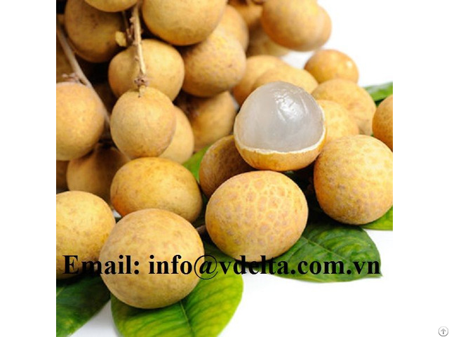 Fresh Longan Tropical Fruits From Vietnam