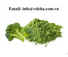 Dried Broccoli Powder From Vietnam