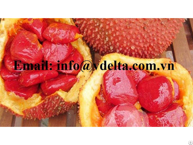 Lowest Price Gac Fruit Pulp And Aril Momordica Cochinchinensis