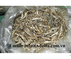 Dried Anchovy With High Quality From Vietnam