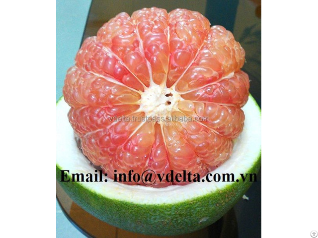 Fresh Pomelo Grape Fruit With Best Quality From Vietnam