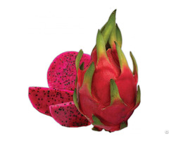 100% Natural Dragon Fruits With Best Price