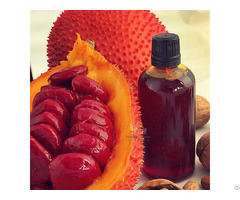 Organic Gac Fruit Oil Best Price 100 Pure Red Viet Nam Packing Bottle Bulk For Cosmetics And Cooking