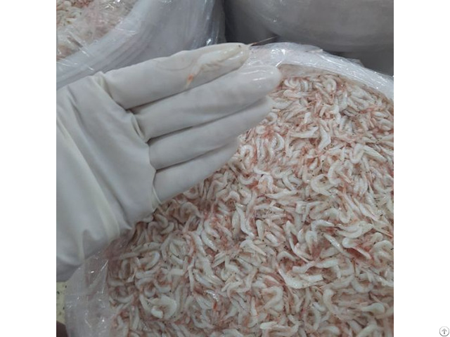 Salted Baby Shrimp With High Quality And Best Price