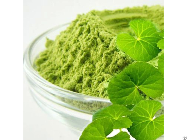 The High Quality Centella Powder