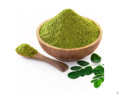 Organic Moringa Powder With High Quality And Good Price From Vietnam