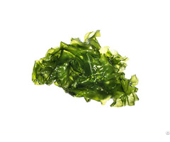 Ulva Lactuca Seaweed Sea Lettuce Dried Flakes 100% Organic With High Quality From Vietnam