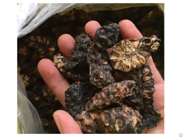 Natural Dried Noni Fruit Slices With High Quality From Vietnam