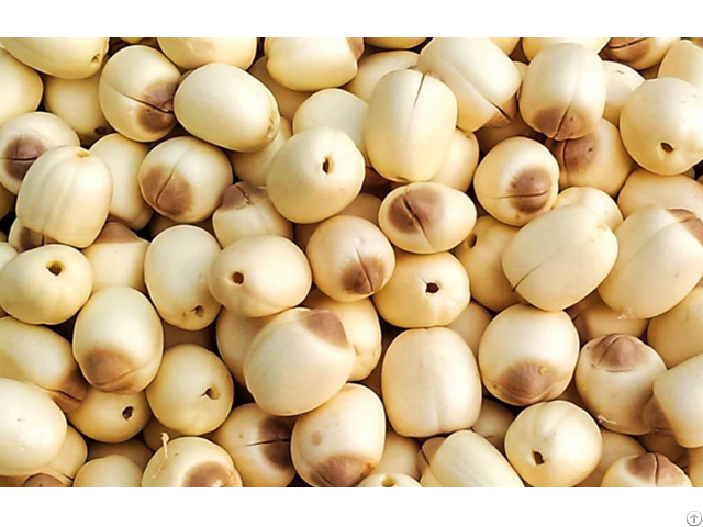Dried Lotus Seed High Quality Good Price Best Service