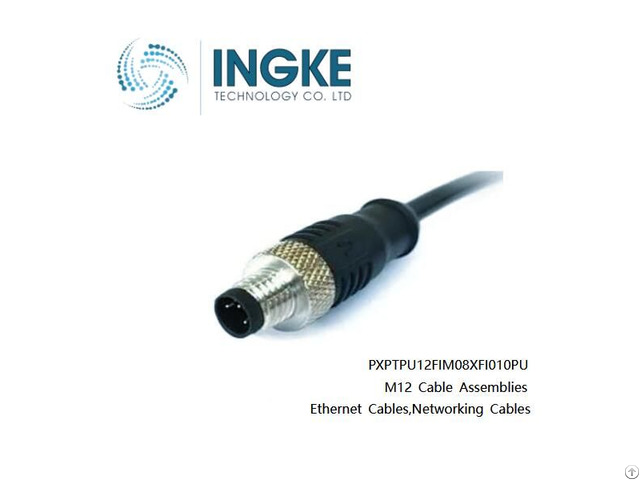 Ingke Pxptpu12fim08xfi010pu M12 Cable Assemblies Ethernet Networking Cables