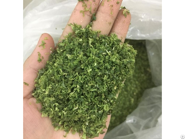 Ulva Lactuca Seaweed Powder For Animal Feed