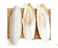 Cuttlebone Cuttlefish Sepia Bone Cuttle Fish Bird Food From Vietnam