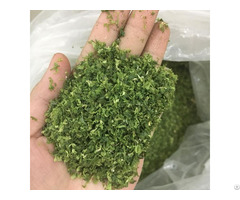 Pure Ulva Lactuca Seaweed With Best Service