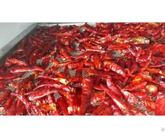 Export Vietnam High Quality Natural Dried Red Chili Pepper Whatsapp 84 966572486